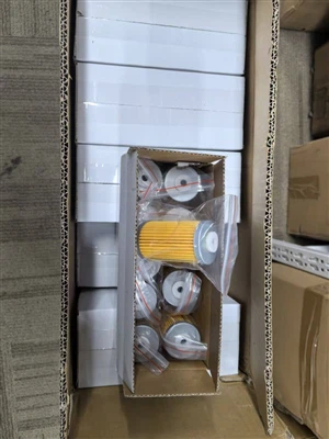 250PCS Air Filter 04000028010 For Orion Vacuum Pump Are Ready To America